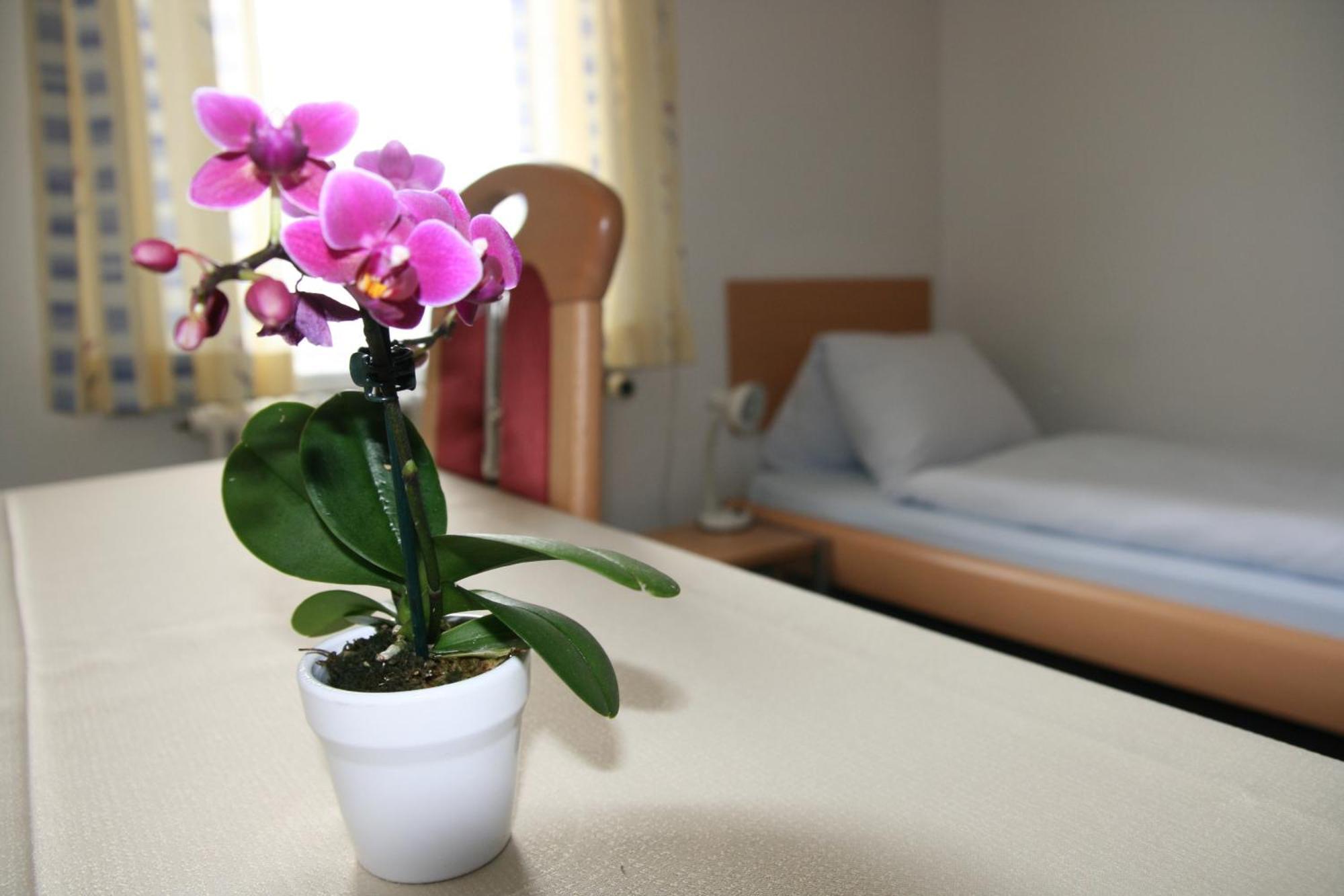 Hotel Glaernisch Hof Хорген Экстерьер фото